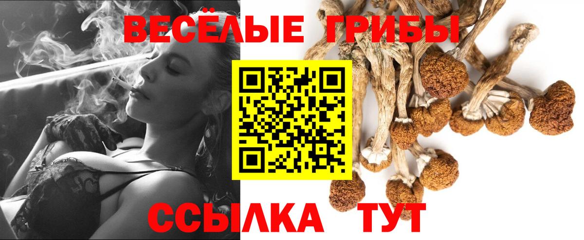 Галлюциногенные грибы мицелий Вологда