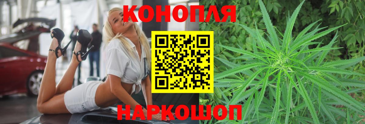 Вологда  Бошки марихуана сатива  Вход с VPN  Бошки марихуана Bruce Banner  Шишки марихуана планчик 